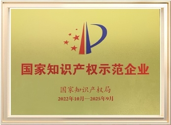 National Intellectual Property Demonstration Enterprise